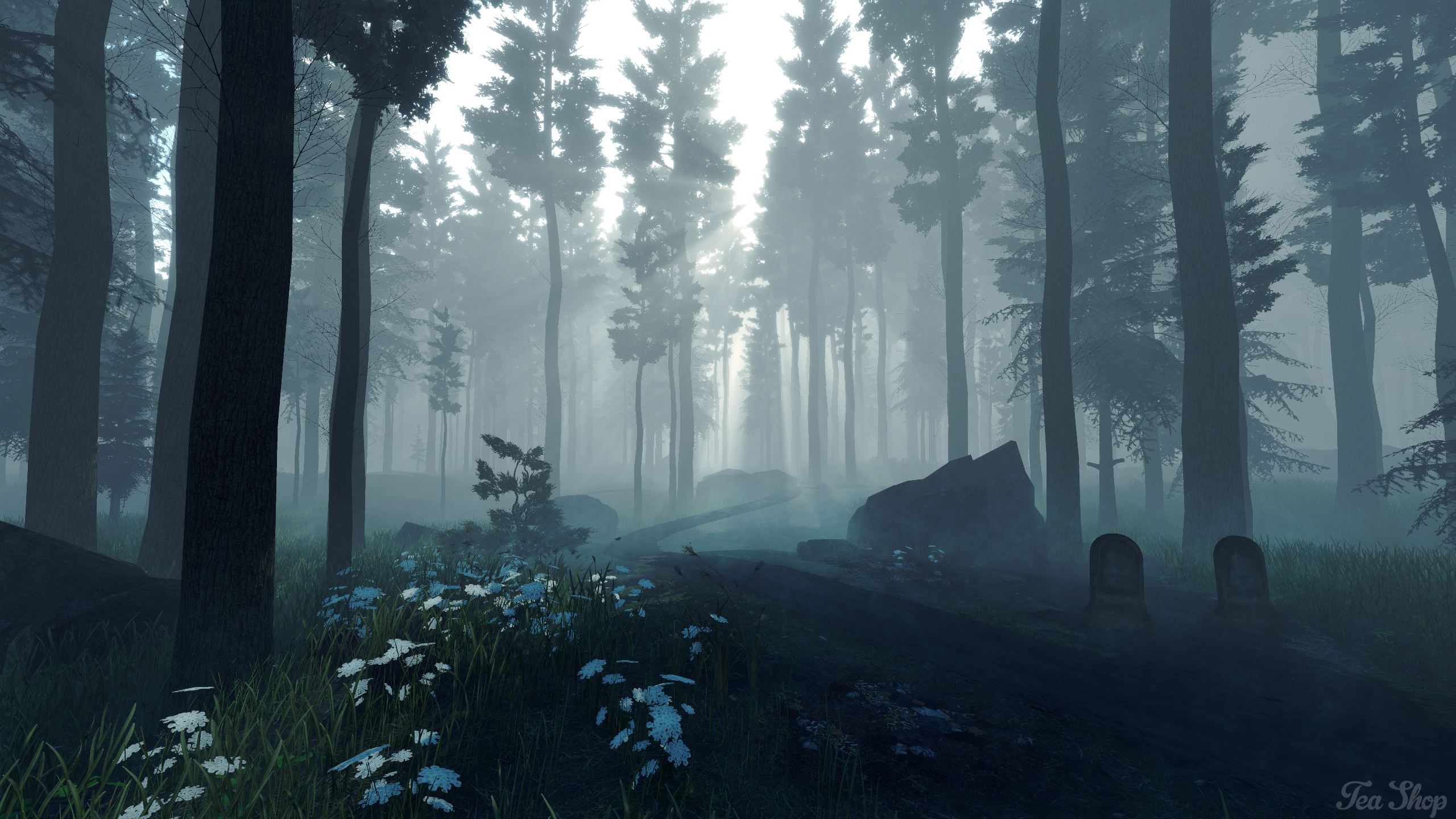 Screenshot of Forest